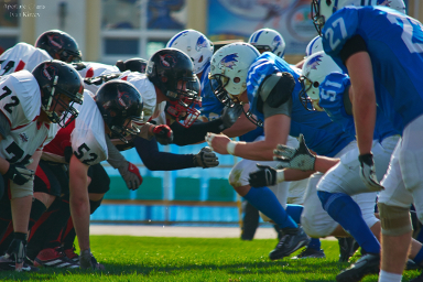 Волжские коршуны - Тавры