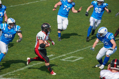 Волжские коршуны - Тавры