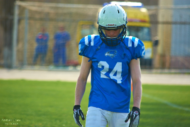 Волжские коршуны - Тавры