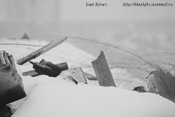 Разгром группировки Штрекера