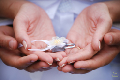 Свадьба Виктора и Елены